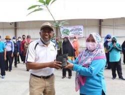 Wakil Bupati Hamdam Serahkan Bibit Pohon Serbaguna Kepada Sekolah Adiwiyata