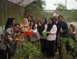 Ketua TP PKK PPU Ajak Masyarakat Manfaatkan Pekarangan Rumah