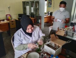 Dinas Ketahanan Pangan PPU Gelar Pengujian Pangan Segar Asal Tumbuhan