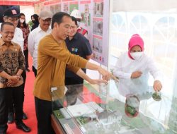 Jokowi Tinjau Pembangunan Rumah Dinas Menteri di IKN, Target Selesai Juni 2024