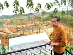 Tinjau Kawasan Istana, Jokowi Optimis Laksanakan Upacara Peringatan HUT Kemerdekaan RI Tahun 2024 di IKN