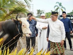 Pj Bupati PPU Sampaikan Sambutan Dihadapan Ratusan Jamaah Solat Idul Adha  di Masjid Agung Nipah-Nipah