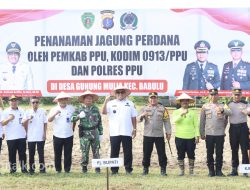 Pj Bupati PPU Pimpin Penanaman Jagung Perdana untuk Tingkatkan Ketahanan Pangan