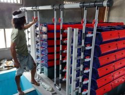 Dinas Perikanan PPU Inovasi Ternak Kepiting dengan Model Apartemen untuk Hasil Optimal