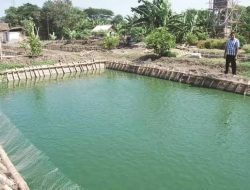 PPU Kembangkan Sektor Perikanan untuk Antisipasi Lonjakan Kebutuhan Pangan IKN