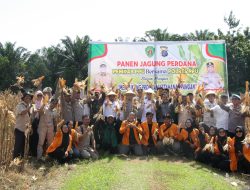 Dukung Program Asta Cita, Pemda PPU Gelar Panen Perdana Jagung