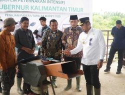 Pemprov Kaltim Resmikan Kandang Intensif Farming System (INFASY) di PPU