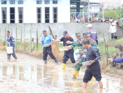 Camat Penajam dan Distan PPU Tabur Benih Padi, Dorong Produktivitas Petani Lokal
