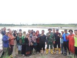 Harga Gabah Naik, Dinas Pertanian PPU Ajak Petani Tingkatkan Produksi