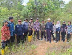 Pemerintah Kecamatan Penajam Lakukan Identifikasi dan Peninjauan Batas Lahan Aset Pemda di Kelurahan Nipah-Nipah