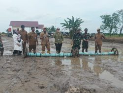 Kecamatan Penajam Gaungkan Ketahanan Pangan Lewat Aksi Tanam Padi di Sidorejo