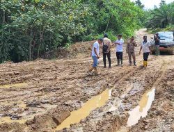 Tinjau Jalan Rusak Sotek–Bongan, Camat Penajam Dorong Perbaikan Segera