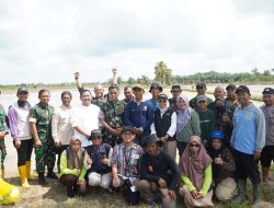 Pemkab PPU dan TNI Perkuat Ketahanan Pangan Lewat Program Tanam Padi Tabela