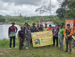 Tiga Buaya Muncul di Kolam Eks BFI, Lurah Gersik dan Tim Gabungan Lakukan Penanganan