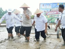 Mudyat Noor Dorong Pertanian Modern, PPU Dibidik Jadi Penggerak Produksi Padi Kaltim